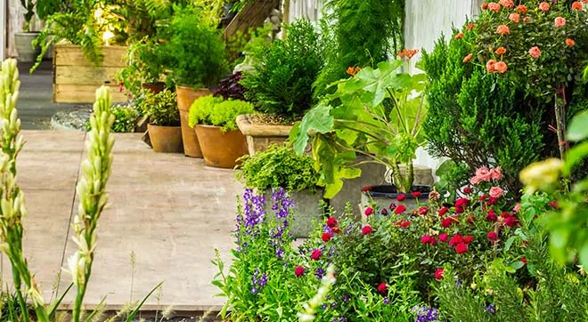 Garten, Pflanzen und dekorieren