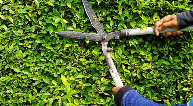Gartenarbeit-im-Sommer_Outdoorpolster_1