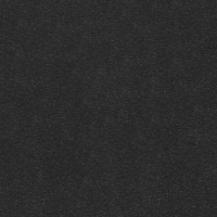 101 911 Black