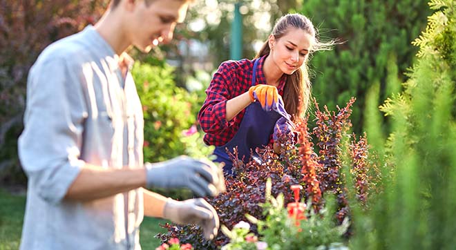 AdobeStock_248915927FDmj7bjbsl26u