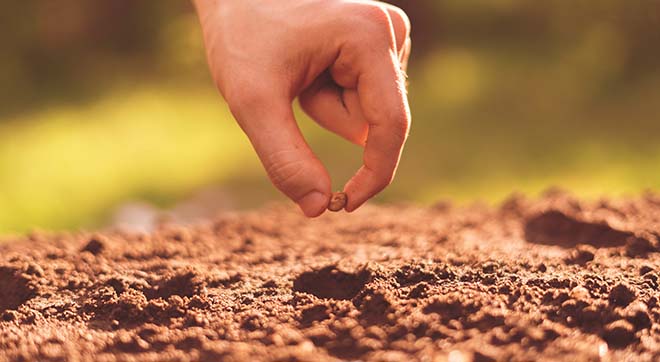 AdobeStock_276245370dyjYNlV3jy7b4