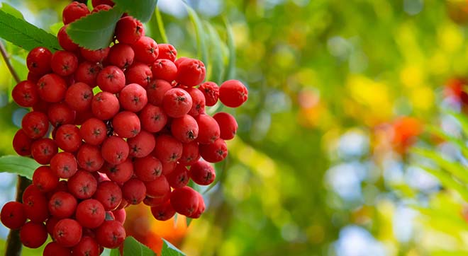 AdobeStock_286047356-1p89iRSaSJgdLF