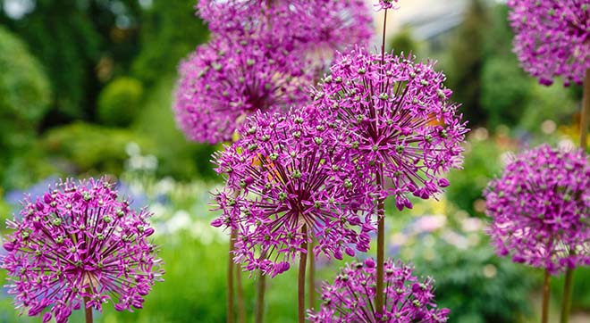 AdobeStock_328679406QXrD68Xx4dZ1I