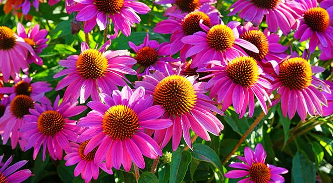 AdobeStock_379934611TJqO0Rq9JqP44