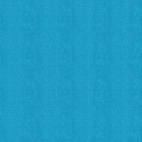 118 263 Bluebird